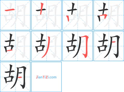 胡部首|胡的字源字形